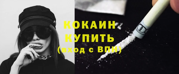 молекула духа Переславль-Залесский