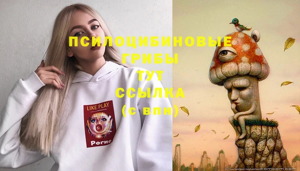 круглые Осинники