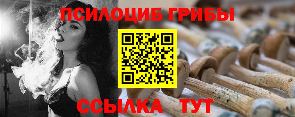 Псилоцибиновые грибы Psilocybe Баксан