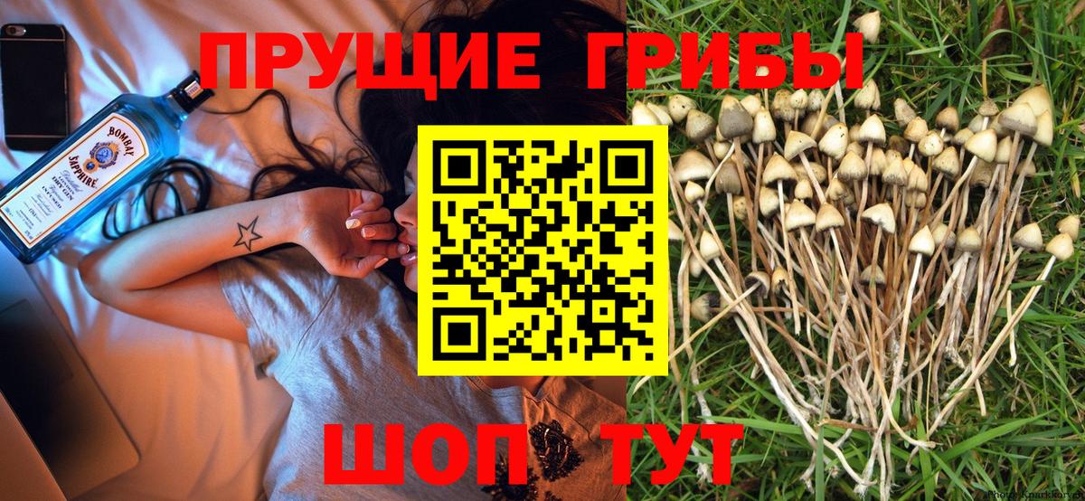 Галлюциногенные грибы прущие грибы  наркота  Баксан 