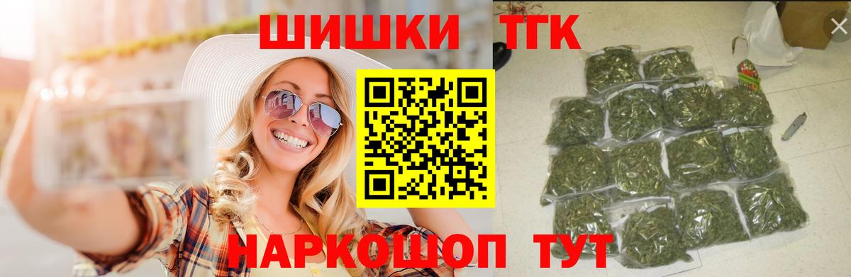 Конопля сатива Баксан